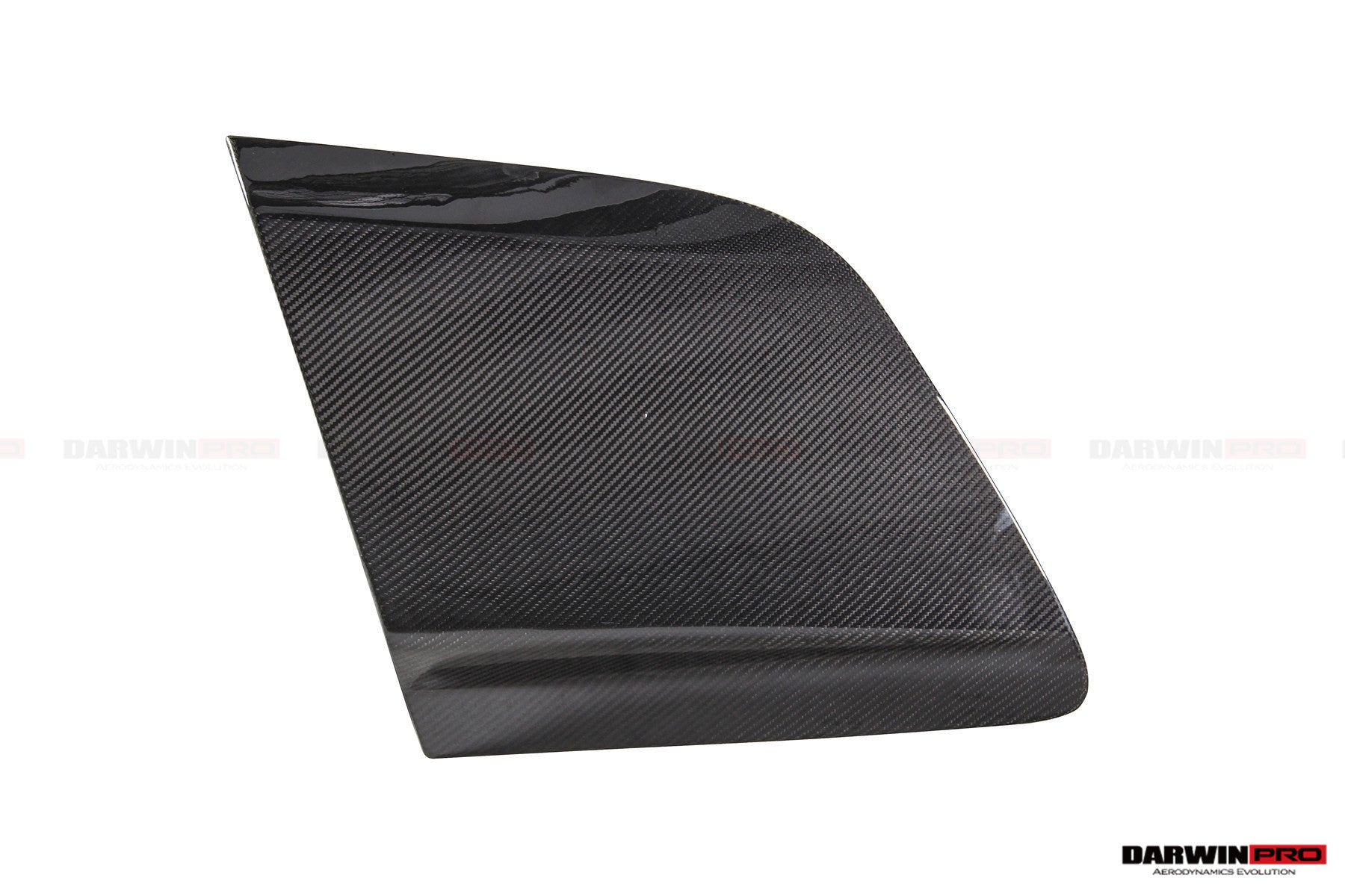 2016 - 2024 Audi R8 Coupe&Spyder GT4 Style Dry Carbon Fiber Side Door Panel Blades